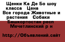 Щенки Ка Де Бо шоу класса › Цена ­ 60 000 - Все города Животные и растения » Собаки   . Башкортостан респ.,Мечетлинский р-н